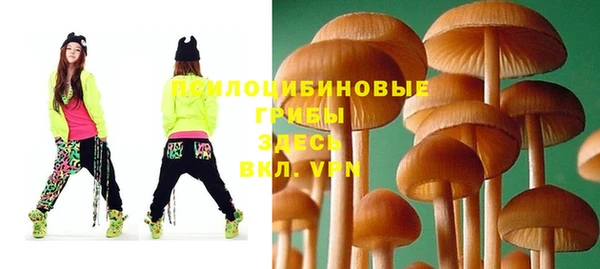 марки nbome Богородицк